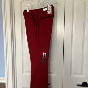 Express columnist dress pant